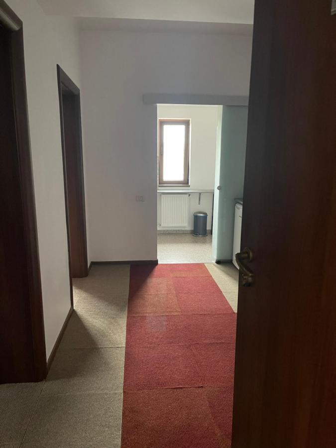 Vila Cu Trandafiri Cozy Apartments 2 Camere Bragadiru エクステリア 写真
