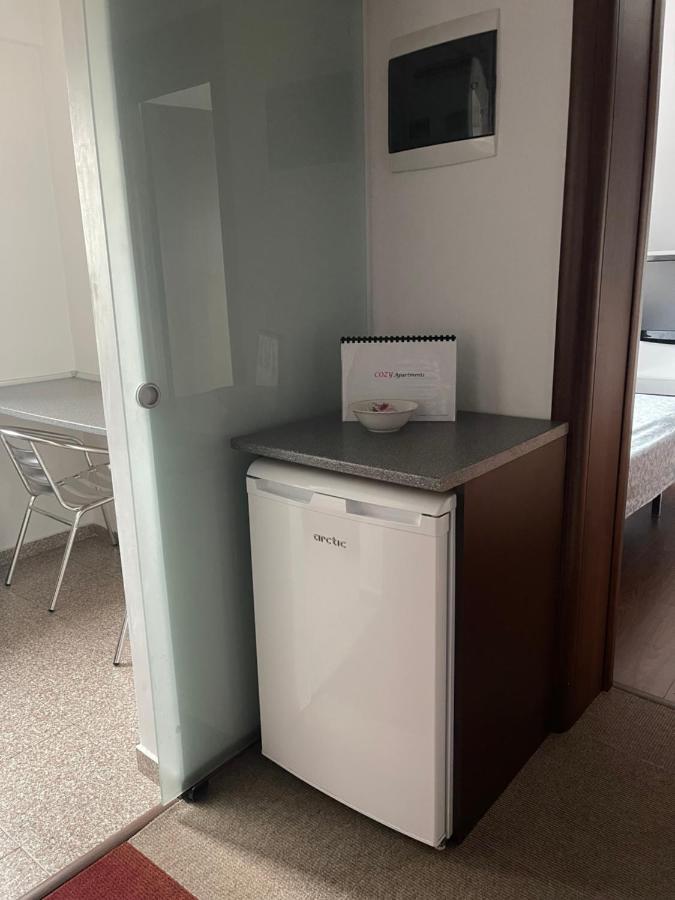 Vila Cu Trandafiri Cozy Apartments 2 Camere Bragadiru エクステリア 写真