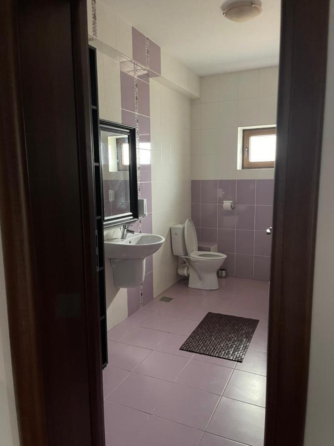 Vila Cu Trandafiri Cozy Apartments 2 Camere Bragadiru エクステリア 写真